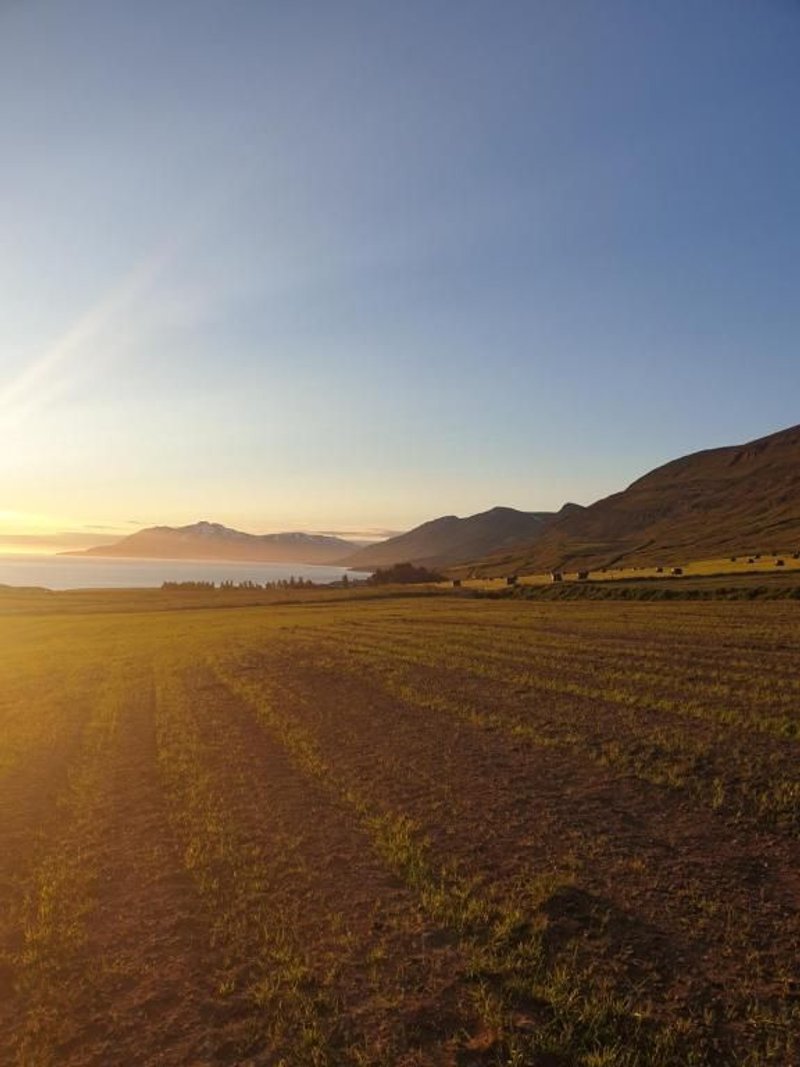 Hótel Sveinbjarnargerði (Sveitahótelið) - Image 3